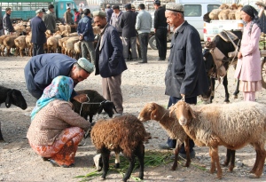 livestock-market-3-kashgar